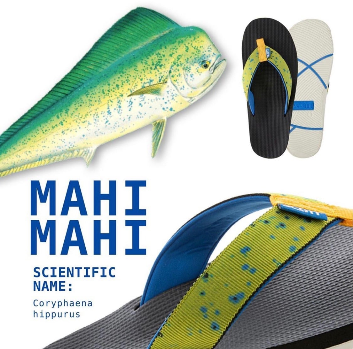 Footwear