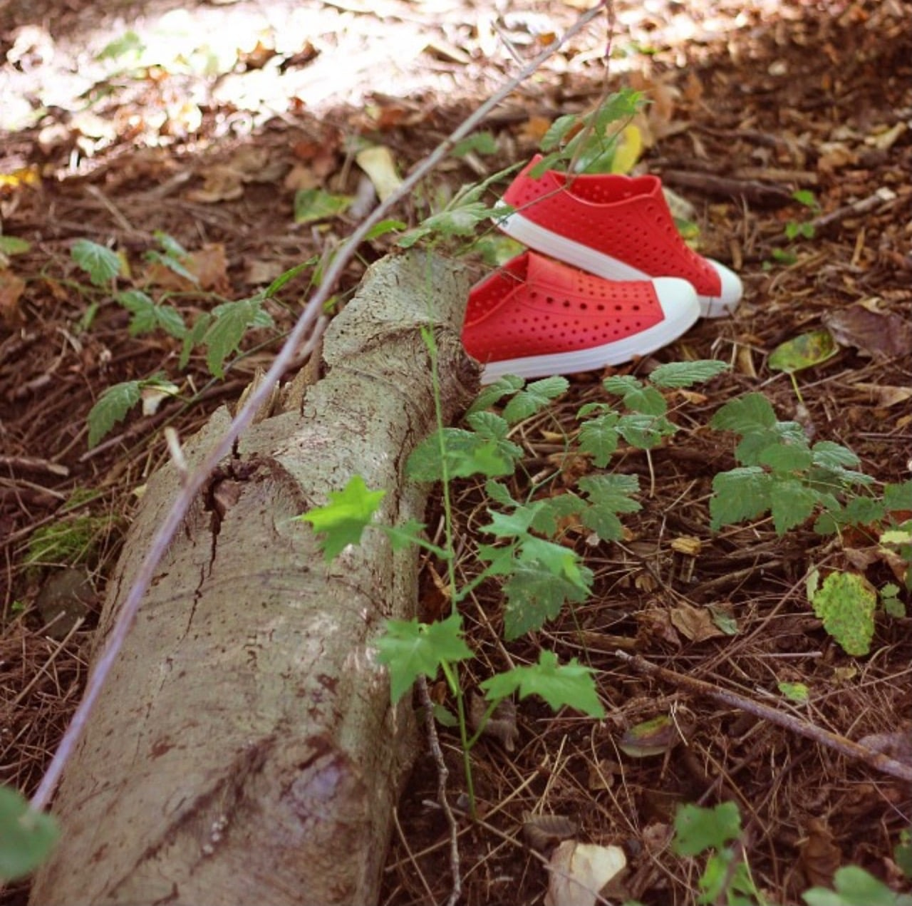 Tiny red Native Jefferson sneakers resting on a forest log